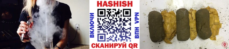 ГАШ Premium Ельня