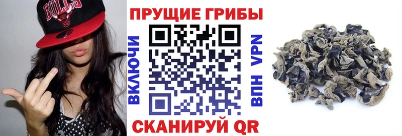 Галлюциногенные грибы мухоморы Ельня