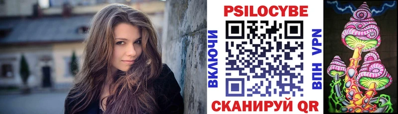 купить   Ельня  blacksprut ссылки  Псилоцибиновые грибы GOLDEN TEACHER 